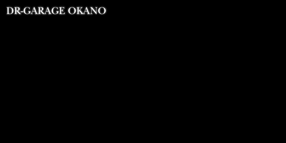 DR-GARAGE OKANO イージスグラスコートトップ